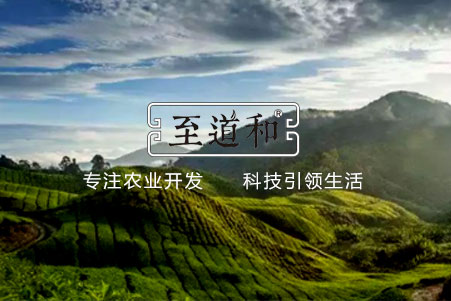 雲南至道(dào)和(hé / huò)農業