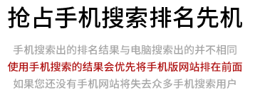 手機網站有利于(yú)移動搜索排名