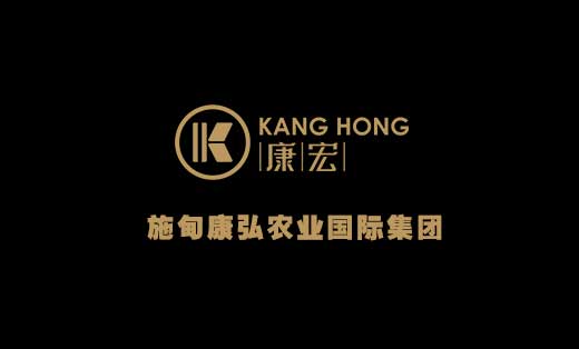 康弘國(guó)際集團網站設計-雙語版